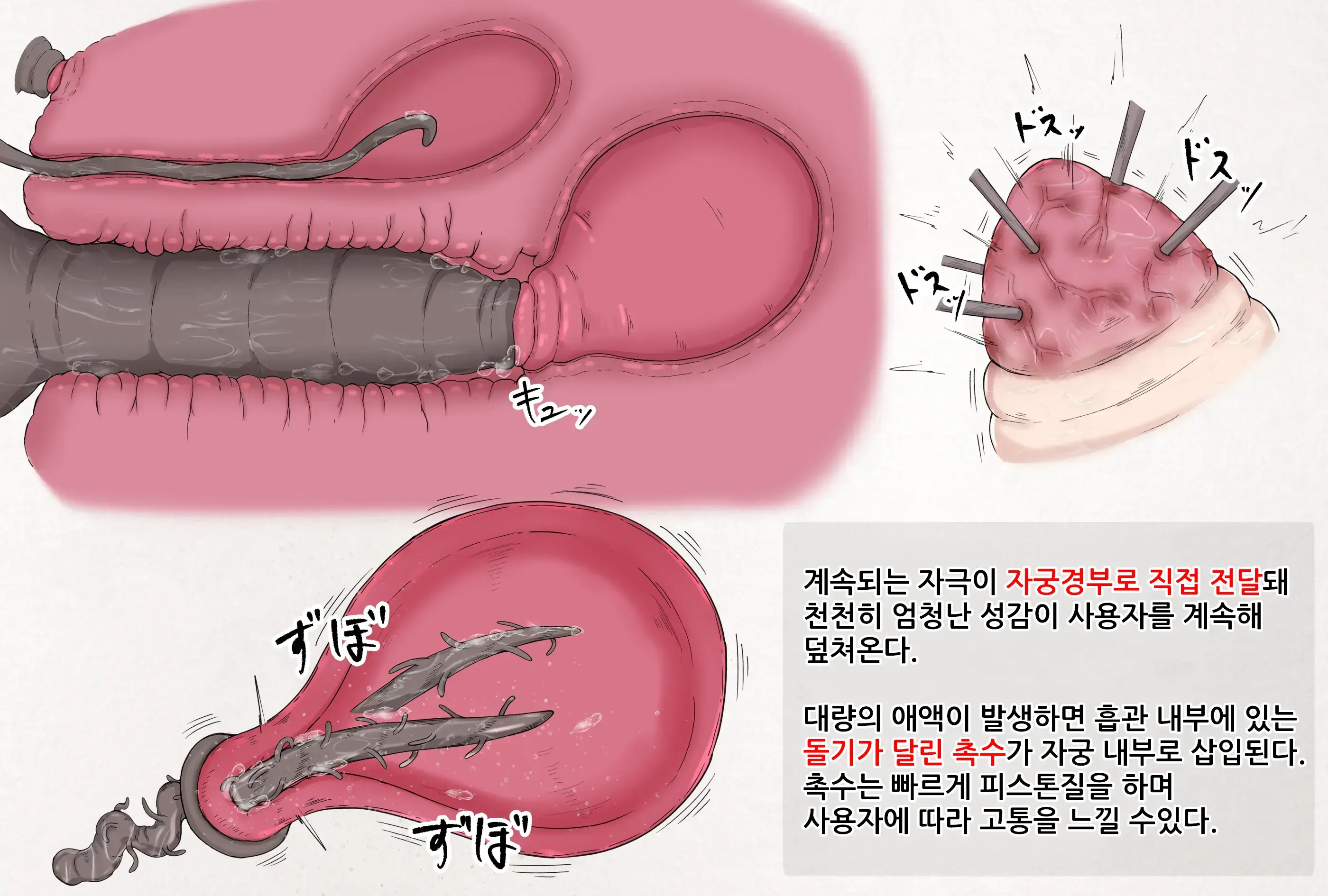 Insect Research Report
